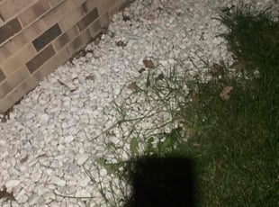 Weeding by Andrew Gilmore for Heather H. in Troy, MI