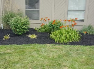 Mulching by Mike Will for Alan C. in Hilliard, OH