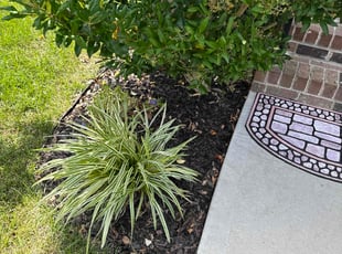 Weeding by Edwin Mateo for Ari W. in Henrico, VA