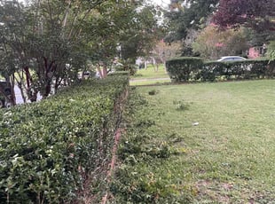Bush Trimming by Gary Wright for Alyssa W. in Pensacola, FL