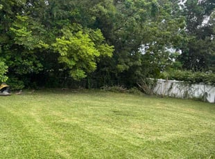 Randy S.'s Lawn Care service result