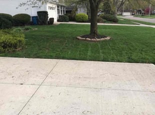 Kathy F.'s Lawn Service service result