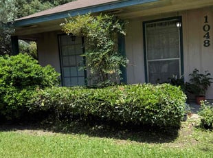 Bush Trimming by Aldo Vega for Janenne A. in Baton Rouge, LA