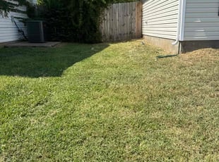 Isaiah S.'s Lawn Maintenance service result