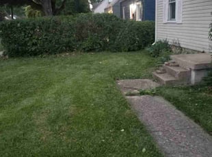 Bush Trimming by Lamont Howard for Brian K. in Columbus, OH