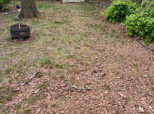 Leaf Removal by Gilbert Osorio for Andrew G. in Montclair, VA