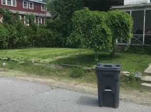 Jamu V.'s Yard Cutting service result