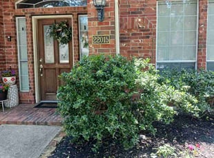 Bush Trimming by Daniel Lopez for Amy R. in Cypress, TX