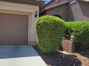 Leaf Removal by Leland Floyd for Christopher H. in Las Vegas, NV