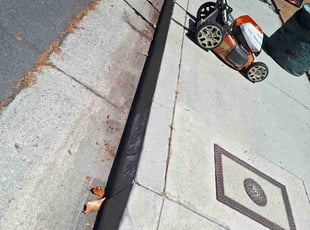 Leaf Removal by Juan Gomez for Manolito C. in Los Angeles, CA