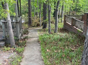 Leaf Removal by Timothy Grant for Sharise C. in Irmo, SC