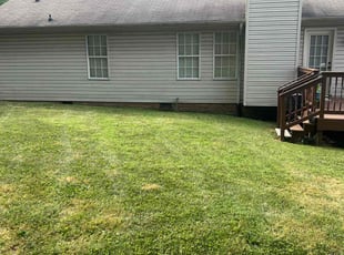 Cynthia T.'s Lawn Mowing Service service result
