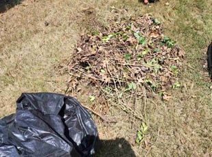 Weeding by Toni Singsonexay for Tom K. in Helotes, TX