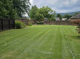 Dionna H.'s Lawn Service service result