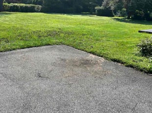 Cleanups by Ted Mason for Mian D. in Wayne, PA