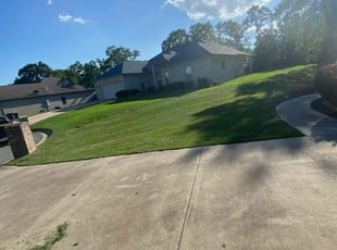 Pat G.'s Lawn Care service result