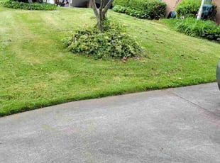 Charles E.'s Lawn Service service result