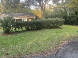 Bush Trimming by Jim Jones for Tom H. in Tallahassee, FL