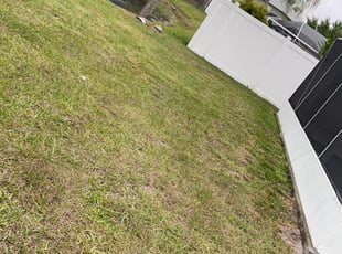 Leaf Removal by ANTHONY PEREZ JR. for Scott S. in Riverview, FL