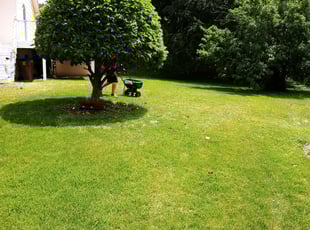 Leaf Removal by Ryan Reitzel for Myra J. in Oakdale, MN