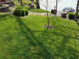 Lawrence W.'s Lawn Service service result