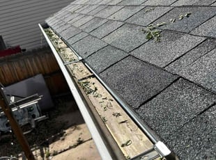 Cleanups by Adameus Marcum for Kylie H. in Thornton, CO