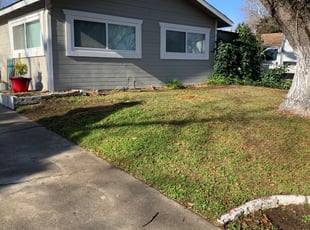 Leaf Removal by Jonathan Allen for Alyssa T. in Citrus Heights, CA