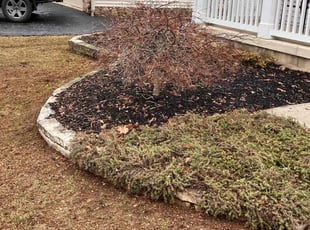 Leaf Removal by Daniel Bunch for Anthony F. in Columbus, OH
