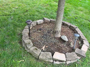 Weeding by Jairon Villagran for Lisa N. in Gaithersburg, MD