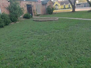 Missy P.'s Yard Cutting service result