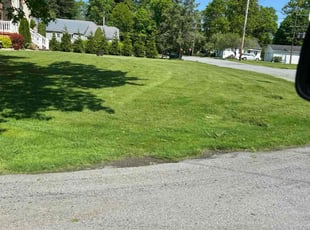 Alecia L.'s Lawn Maintenance service result