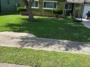 Jacob C.'s Lawn Mowing Service service result