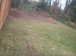 Leaf Removal by Alex Calderon for Marlo L. in Burien, WA