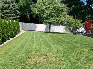 Charles F.'s Lawn Mowing service result