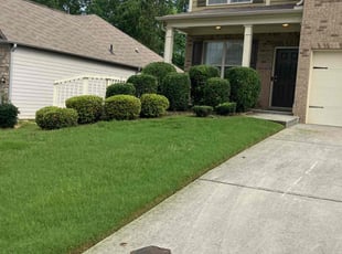Bush Trimming by Carl Hunt for WILLIAM I. in Atlanta, GA