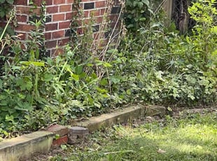 Cleanups by Alexander Pellot Ayala for Jennifer R. in Westerville, OH