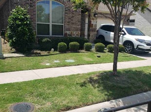 Bush Trimming by Marcedes Ginn for Leslie G. in Carrollton, TX