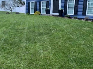 Estela F.'s Lawn Care service result