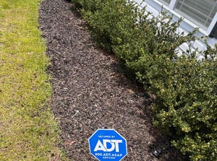 Weeding by Charles Gadsden for Altonio R. in Gaston, SC