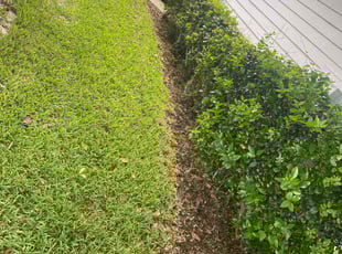 Cleanups by Jean Claude Zephirin for Sarah W. in Saint Johns, FL