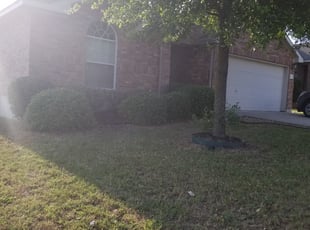 Bush Trimming by Steven Solis for Robert M. in Leander, TX