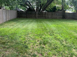 Krista F.'s Lawn Mowing Service service result