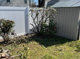 Bush Trimming by Stacey Lewis for Ted o. in Virginia Beach, VA