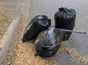 Leaf Removal by Marian Garcia for Dale D. in Cedar Park, TX