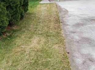 Leaf Removal by Charles Dumoulin for Shreyas M. in Boise, ID