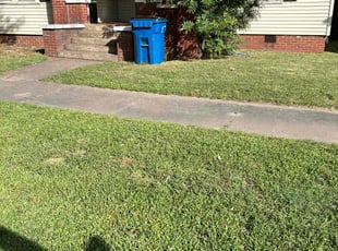 Ricky P.'s Grass Cutting service result