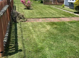 Cleanups by Tony Sousa for Will M. in Tiverton, RI