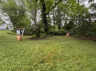 Leaf Removal by Bryan Rodriguez for Caren L. in Naugatuck, CT