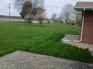 Diana B.'s Yard Cutting service result