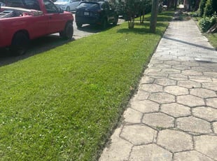 Araba M.'s Lawn Care service result